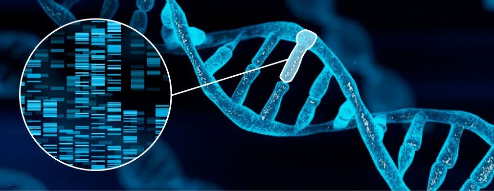 dna-sequenced